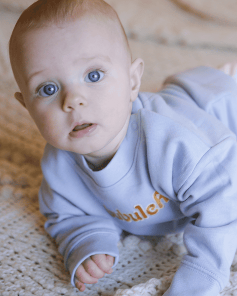 Mini Organic Cotton bubuleh Crewneck